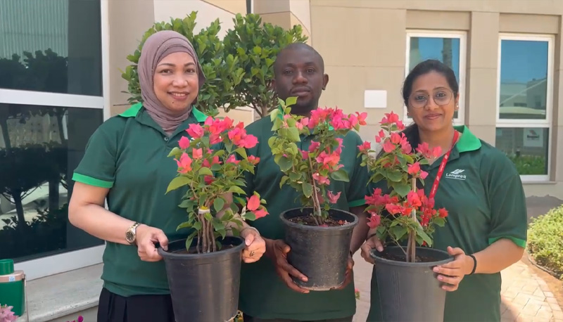 Lamprell-Flower-Planting3