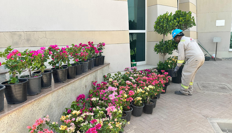 Lamprell-Flower-Planting5