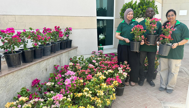 Lamprell-Flower-Planting6