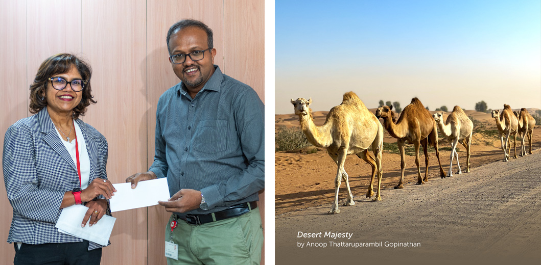 Anoop Desert Majesty